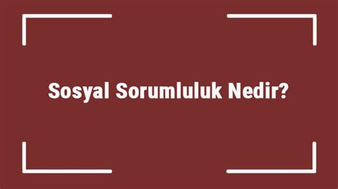 Alex Honnold ve Tırmanış Hikayesi