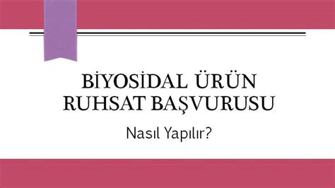 Kamp Ruhsatı Alma Kamp Ruhsatı Alma