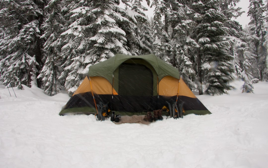 Karavan Çeşitleri Karavan Çeşitleri